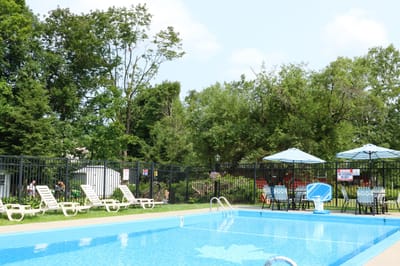 Outdoor pool area with lounge chairs and umbrellas