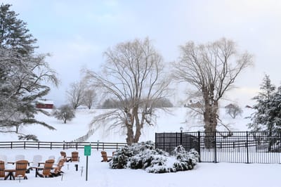 Snow-covered outdoor area with trees and benches