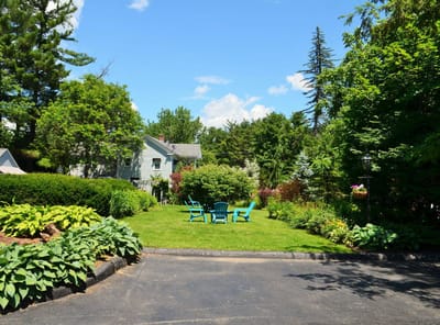 A beautiful garden area with seating and greenery