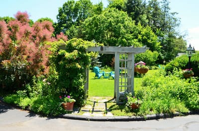A beautiful garden entrance with greenery and seating