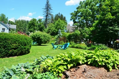 A tranquil garden area with chairs surrounded by greenery