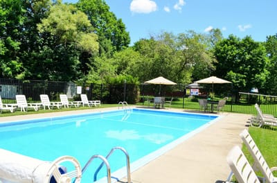 Outdoor swimming pool surrounded by lawn and trees