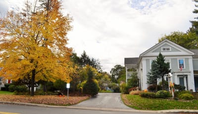 Tree-lined entrance to a senior living facility