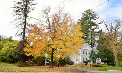 Autumn view of Maple Terrace Community Care exterior