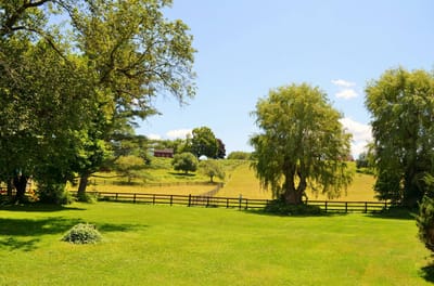 Spacious outdoor area with green grass and trees