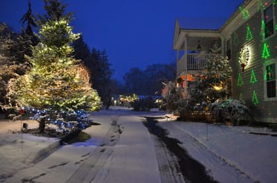Decorated pathway in a snowy winter scene