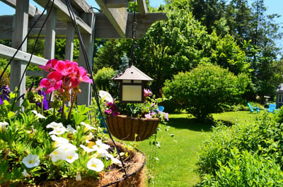 Vibrant garden area with hanging flowers