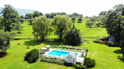 Aerial view of a pool area surrounded by greenery