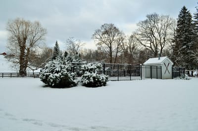 Snowy outdoor space with trees and fence
