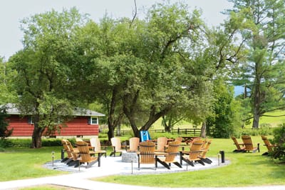 Outdoor seating area with chairs under a tree