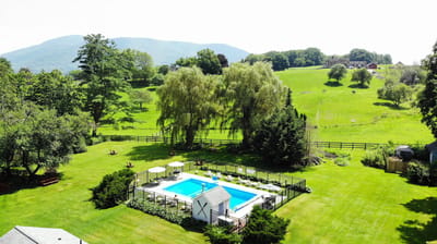 Aerial view of a vibrant outdoor pool area surrounded by greenery