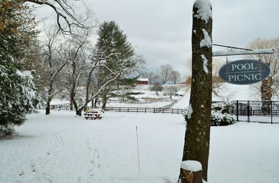 Snowy outdoor space with picnic table and pool sign