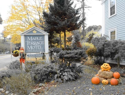 Exterior view of Maple Terrace with autumn decorations