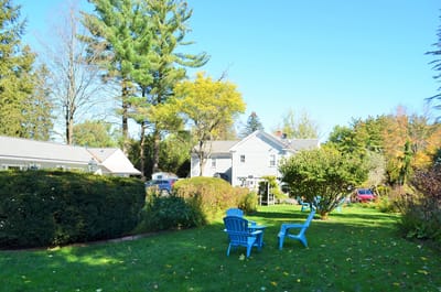 Outdoor area with blue chairs and greenery