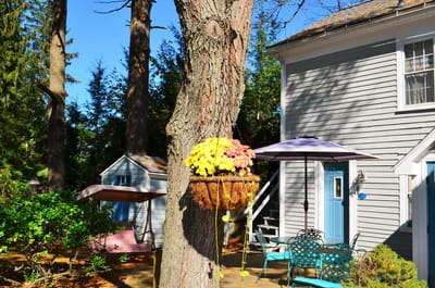 Beautiful outdoor space with flowers and seating area