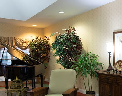 Interior of a common area with piano and plants