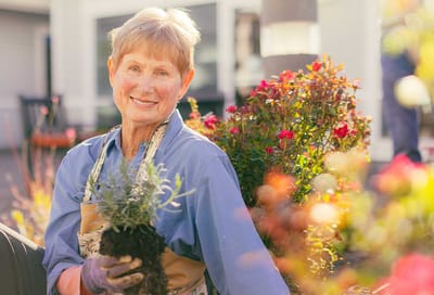 Senior resident gardening with vibrant flowers