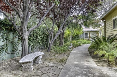 Pathway through a serene garden area