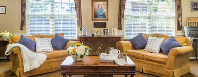 Cozy lounge area with sofas and decorations