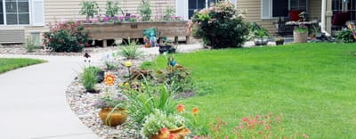 Well-maintained garden with colorful flowers and greenery