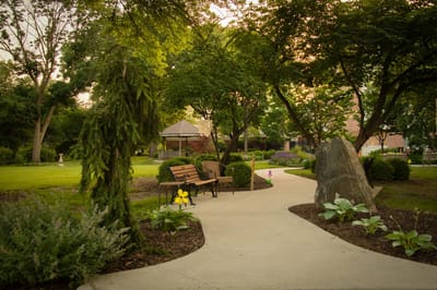 Serene garden pathway with benches and greenery