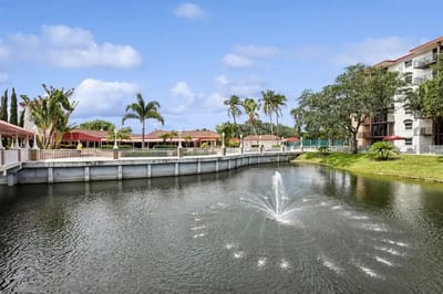 Outdoor area with a pond and palm trees