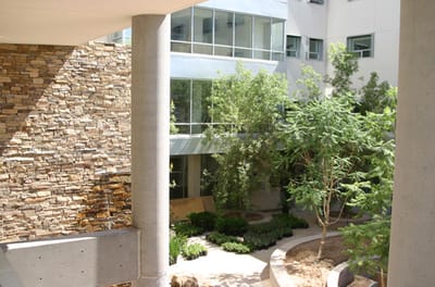 Outdoor courtyard area with trees and greenery