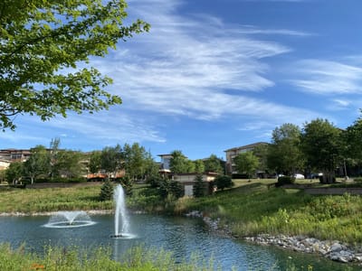 Pond with fountains and surrounding greenery at Edgewater community