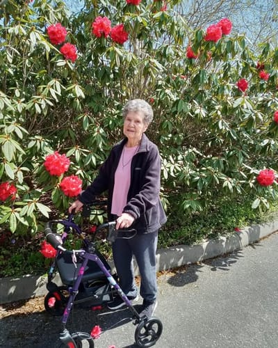 Senior woman using a walker in front of blooming flowers