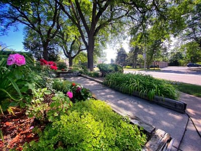 Beautifully landscaped garden area with flowers and greenery