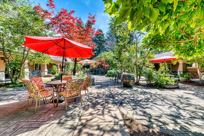 Outdoor courtyard with vibrant umbrellas and seating