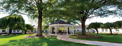 Outdoor gazebo surrounded by lush greenery