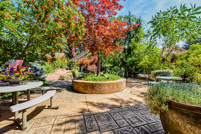 Beautiful outdoor garden space with trees and seating