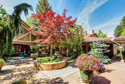 A vibrant courtyard with colorful plants and outdoor seating