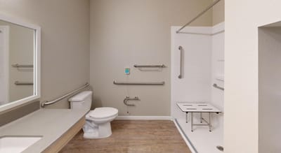 Bathroom with grab bars and accessible shower