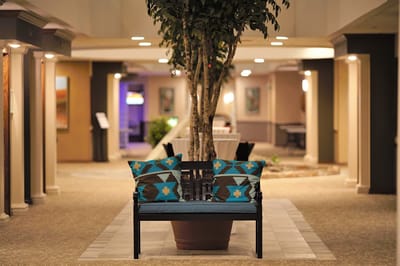 Interior common area with a bench and tree decoration