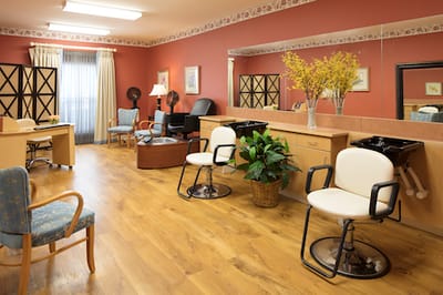 Salon interior with chairs and decorative plants