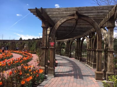 Flower garden with wooden arch walkway in sunlight