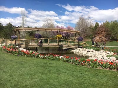 Beautiful garden with a bridge and flowers