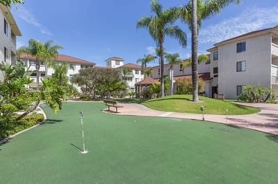 Outdoor space with putting green and palm trees