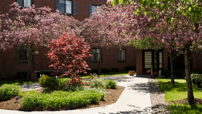 Beautiful outdoor space with flowering trees and a walkway