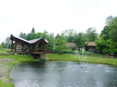 View of a serene pond with a wooden bridge