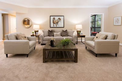 A cozy lounge area with sofas and decorative plants