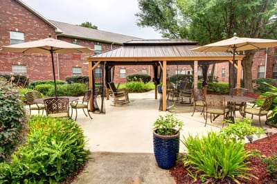 Outdoor seating area with umbrellas and plants