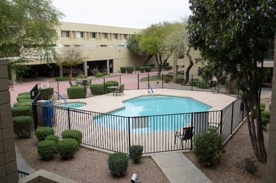 Swimming pool area with surrounding greenery