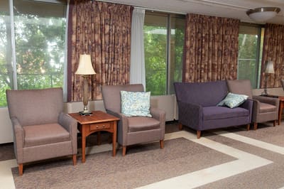 Cozy lounge area with chairs and natural light