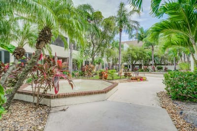 Lush outdoor garden walkway with fountain