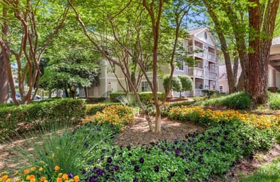 Vibrant garden area with flowers and trees
