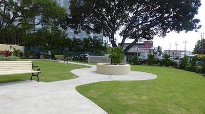 A landscaped outdoor garden with benches and pathways