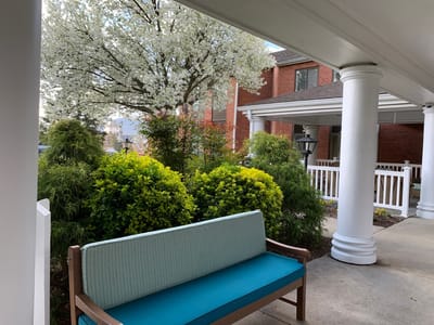Outdoor seating area with greenery and flowers
